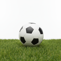Official Size Soccer Ball
